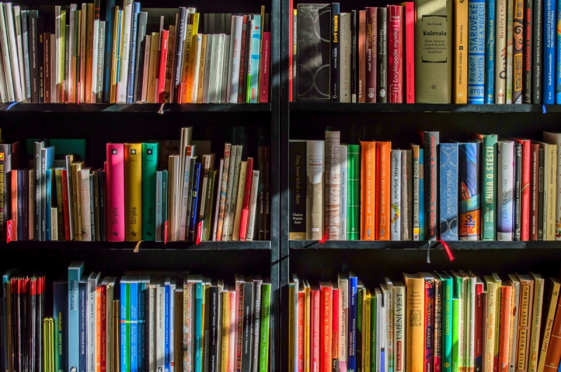 ecommerce-LA SEYNE SUR MER-min_books_bookstore_book_reading_shop_writer_sale_books_read-822866